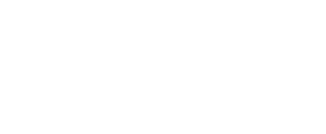 T-Mobile Concert Perks